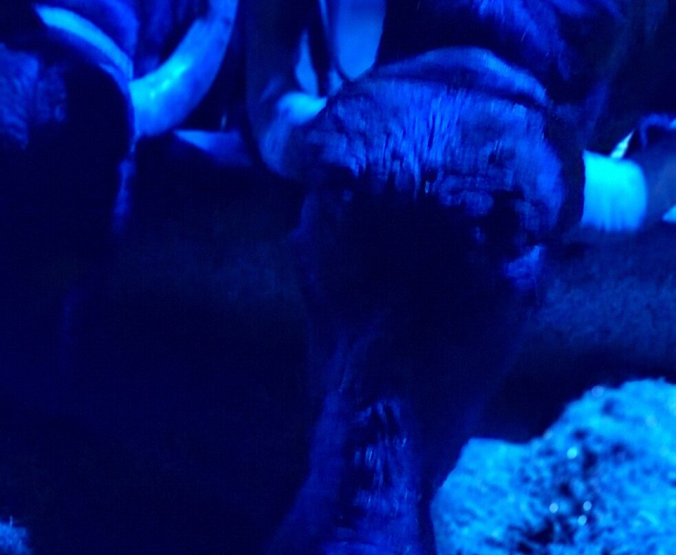 Tenuta Vannulo-Capaccio Scalo必去景点