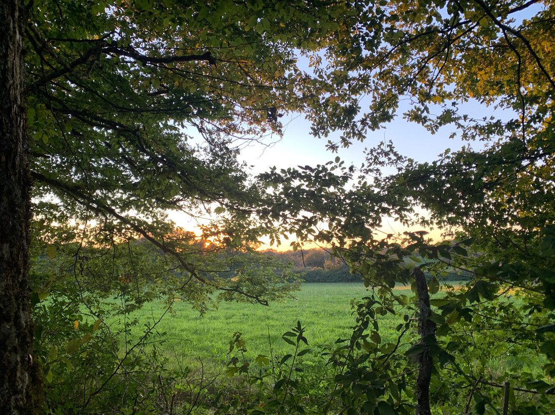 Les Savonniers主图