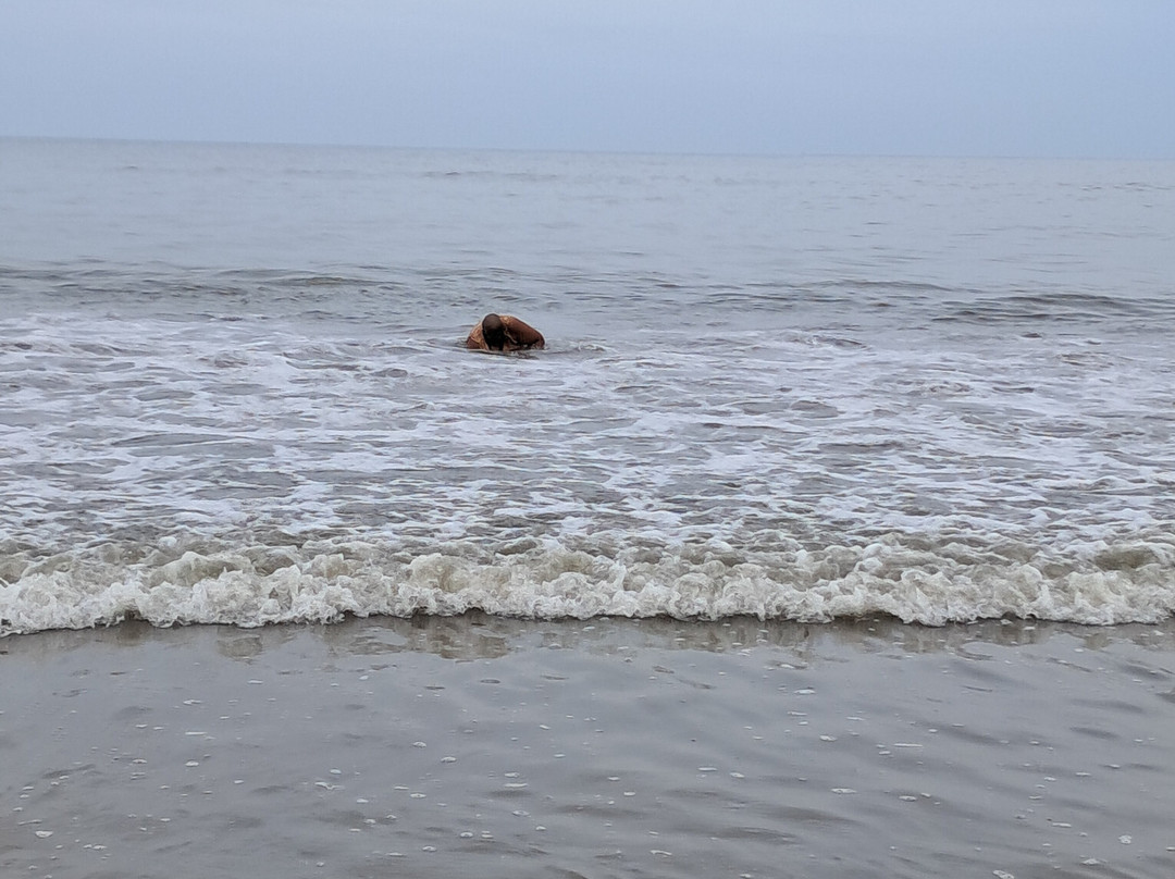 Basilica of Our Lady of Good Health-Velankanni必去景点