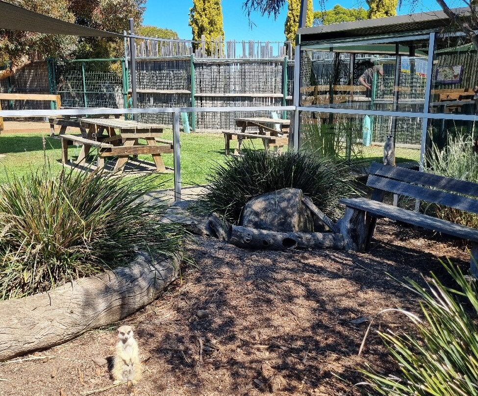 Zoodoo野生动物园-Richmond必去景点