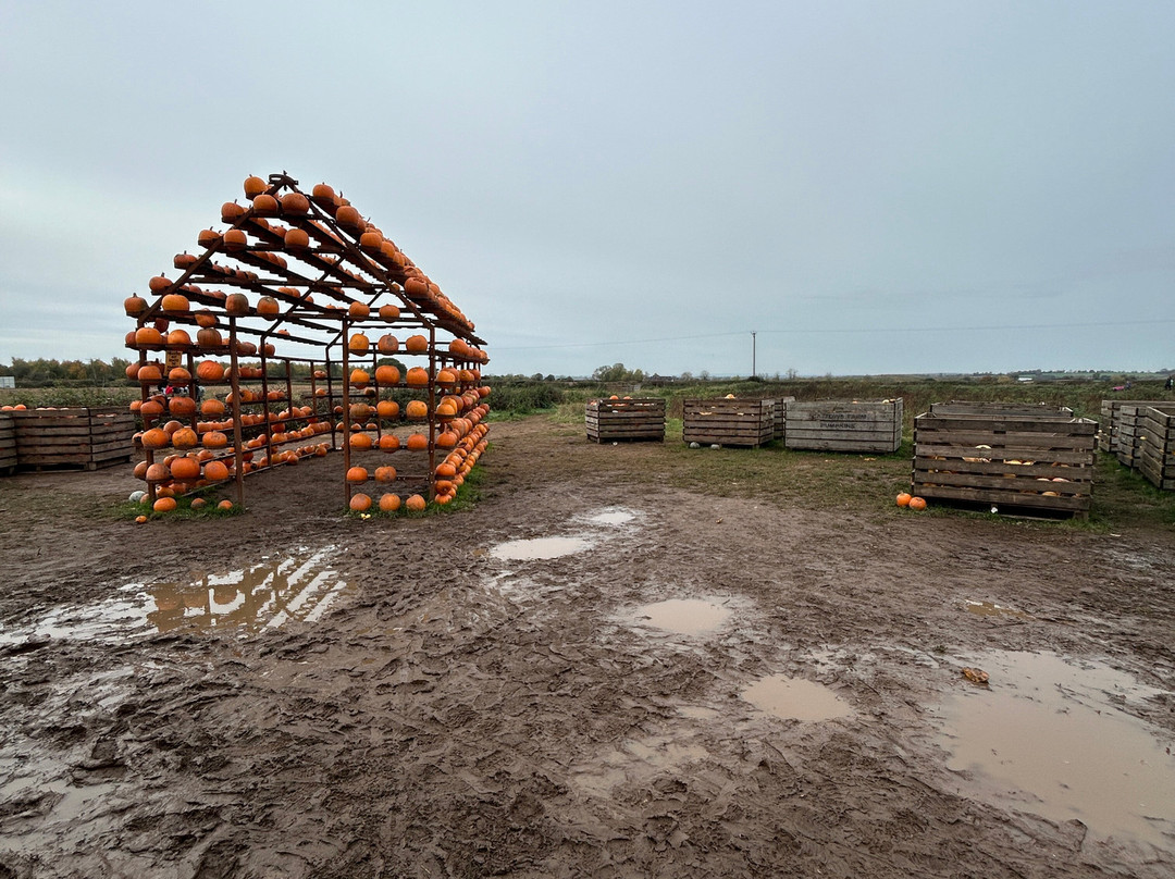 Halloween Farm-Heather必去景点