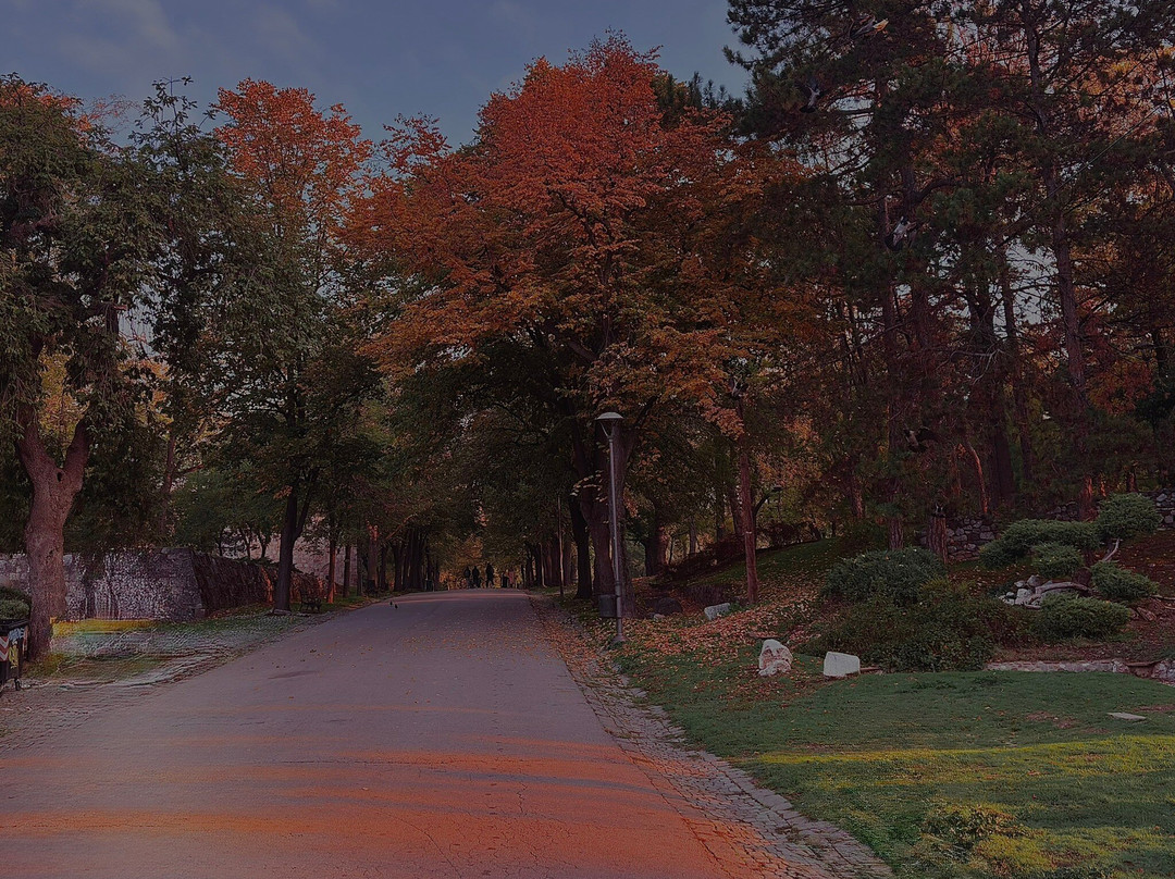 Nis Fortress-Nis必去景点