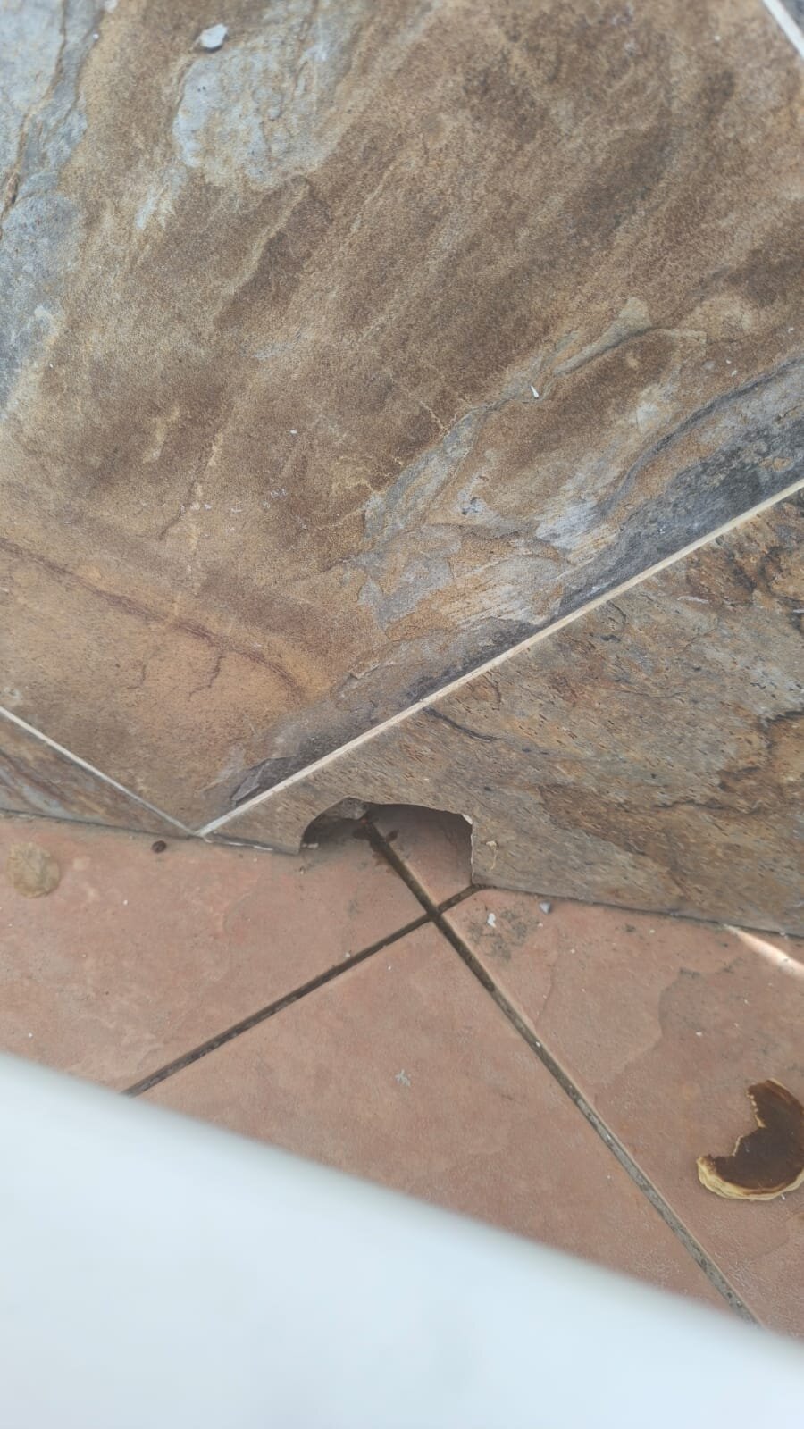 Holiday Garden Resort-泳池