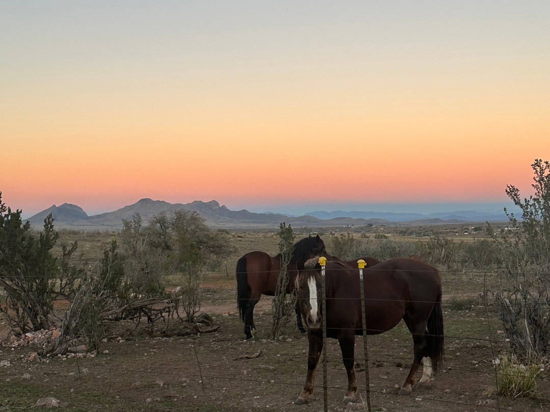 Double R Ranch-Elgin必去景点