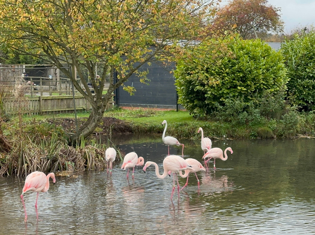 鸟园-水上伯顿必去景点