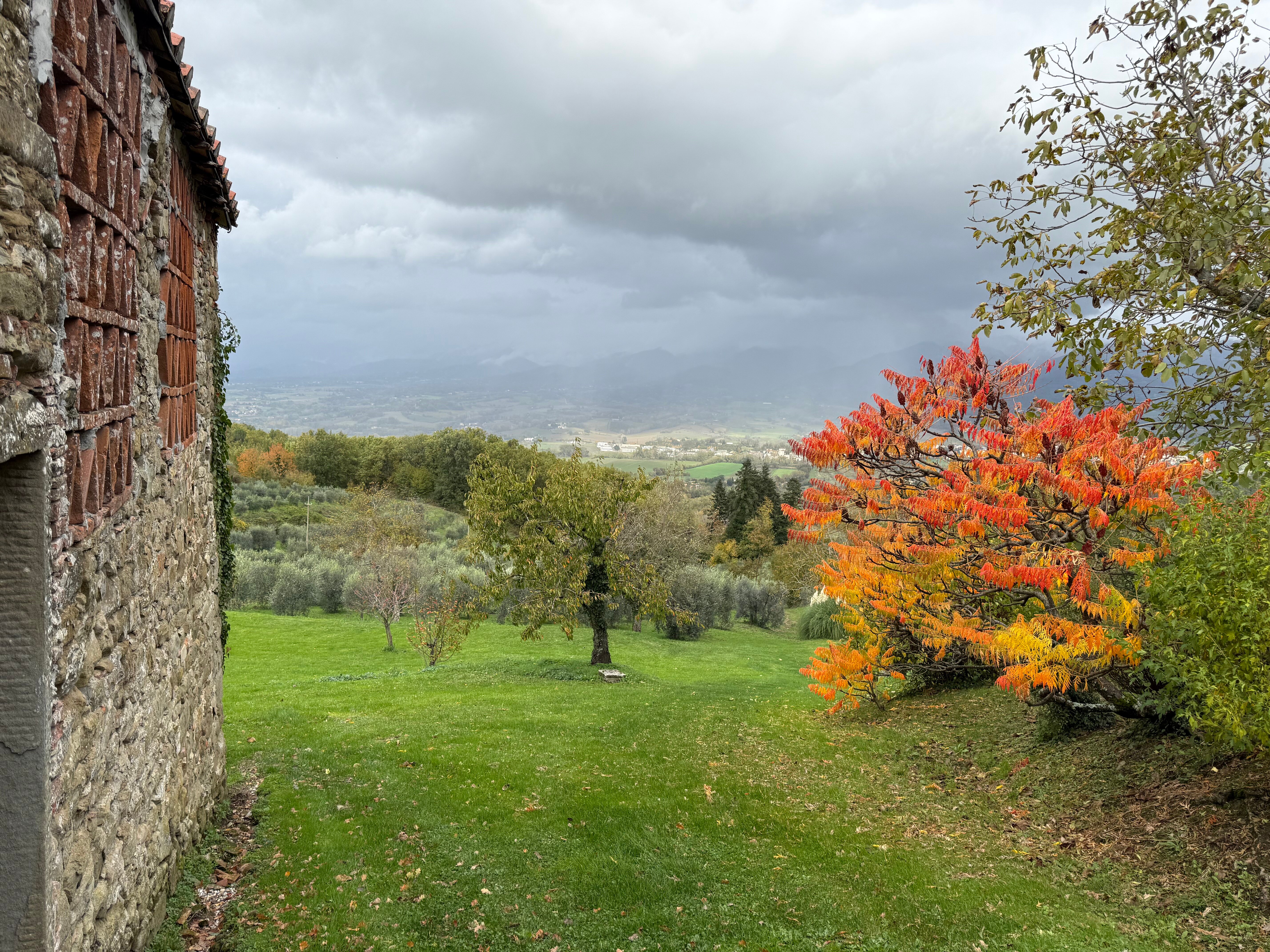 维拉坎佩斯特里橄榄油度假酒店-官方