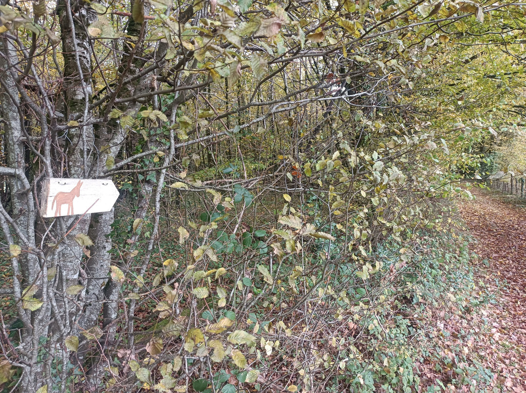 Ferme Chene de Greletti-Chalais必去景点