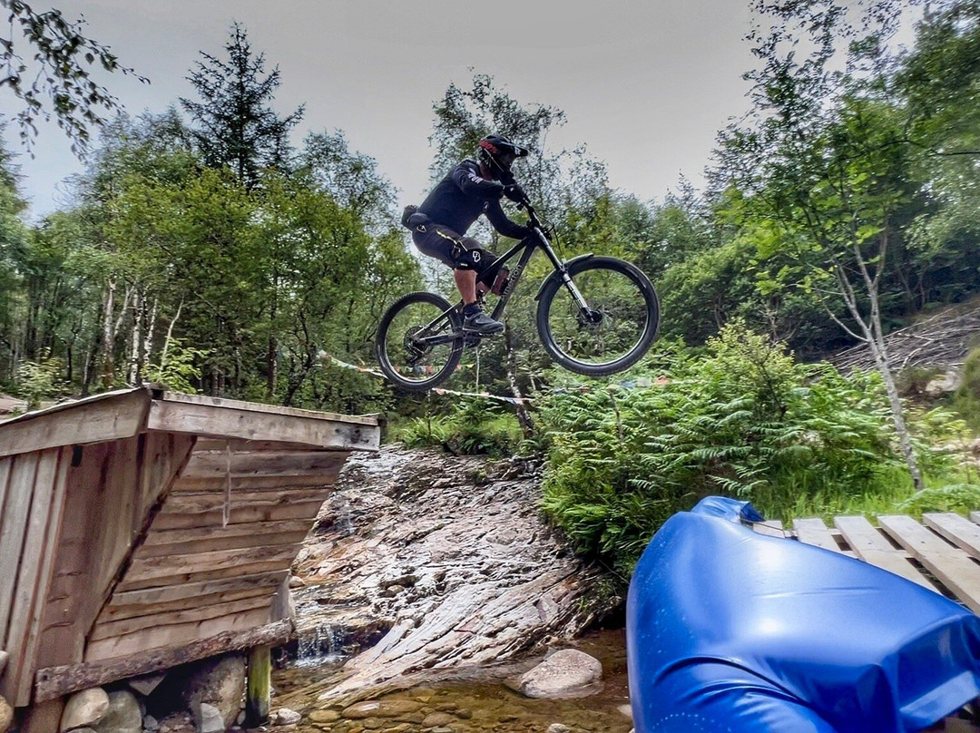 Off Beat Bikes-威廉堡必去景点