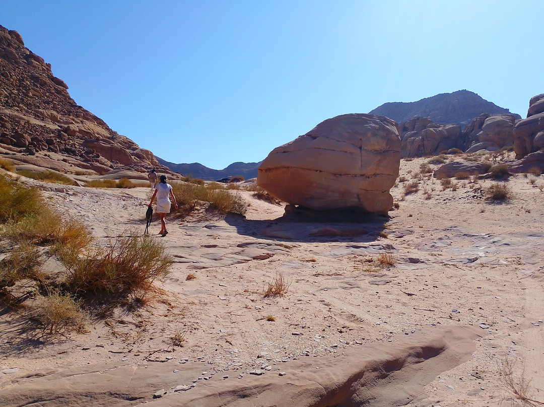 Wadi Rum Magic Camp