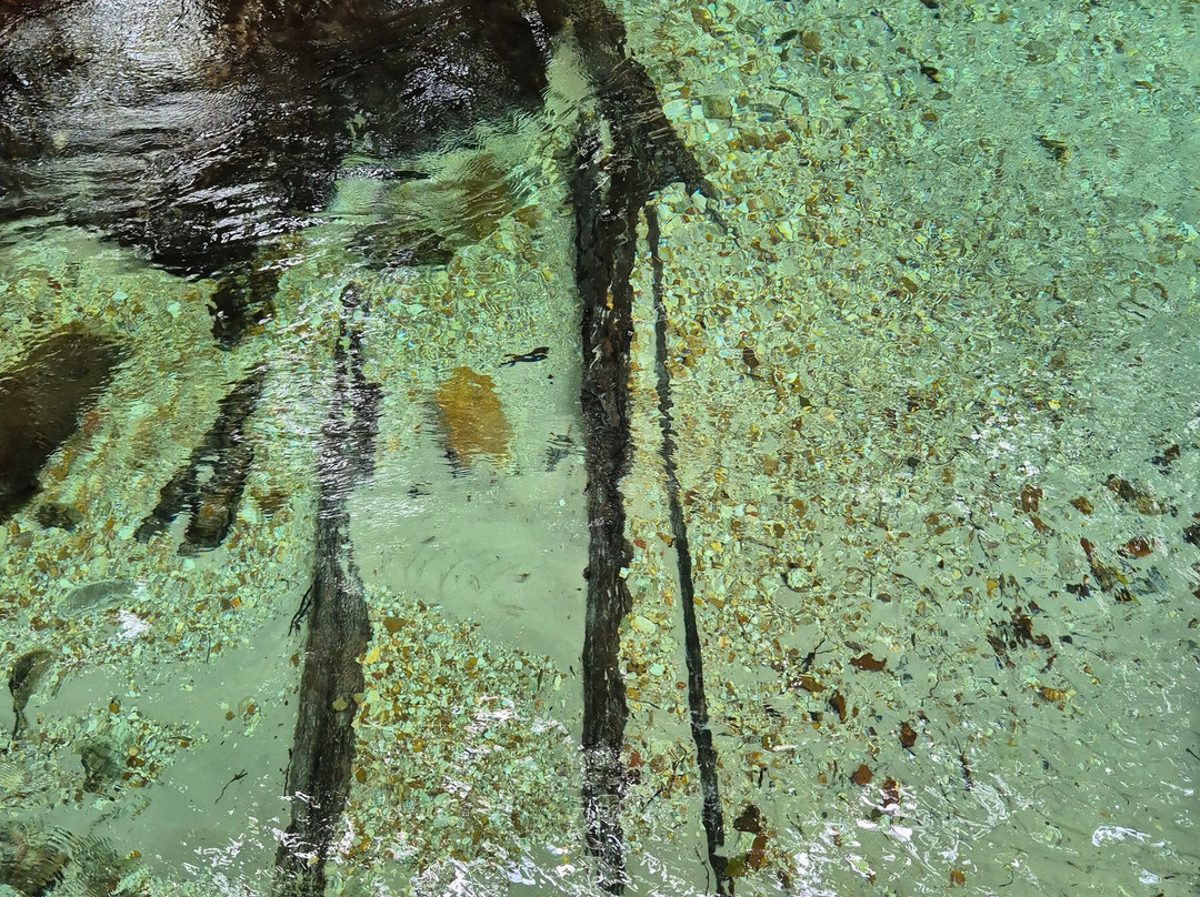 Lacos do Jalapao-Jalapao State Park必去景点