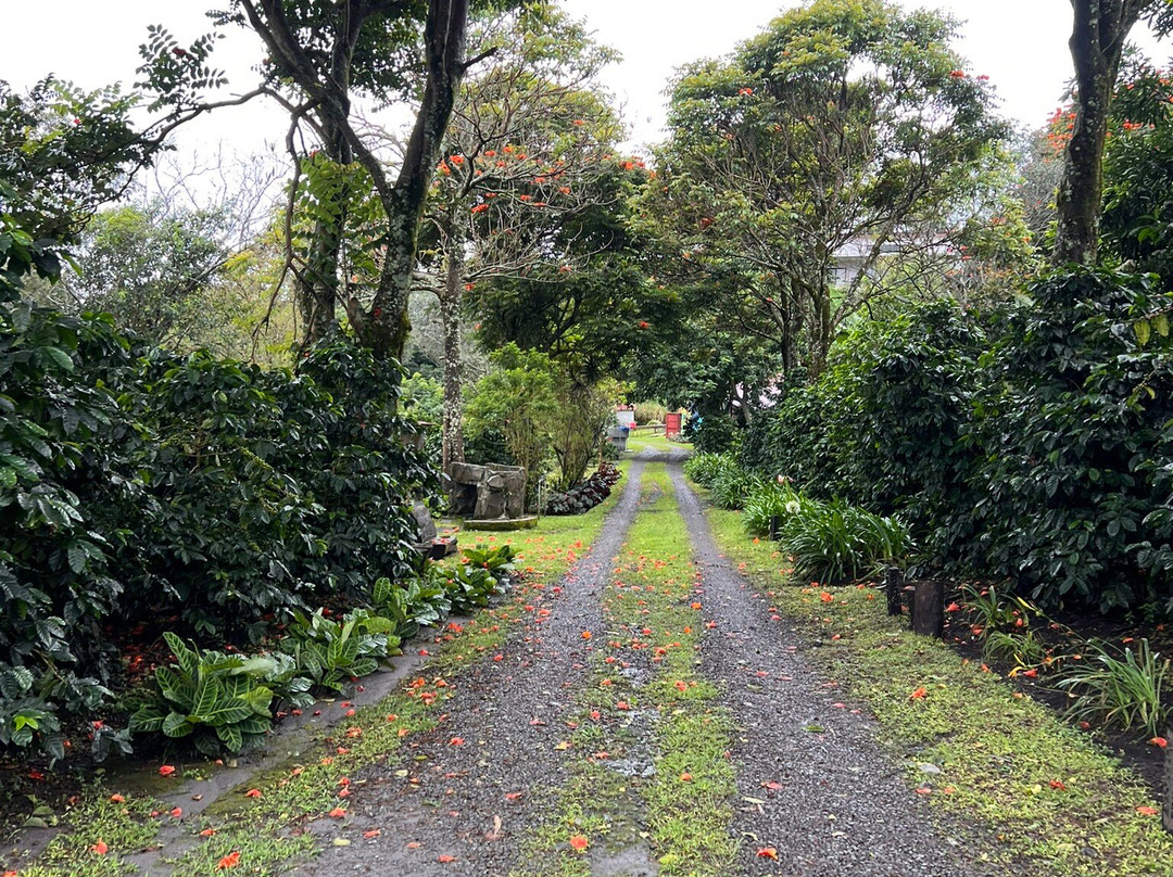 Boquete Coffee Tour-波魁特必去景点