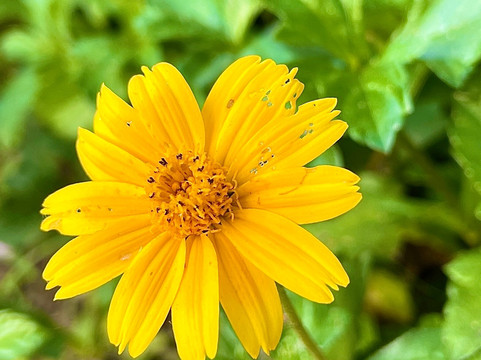 Bharthala Garden-Samrala必去景点