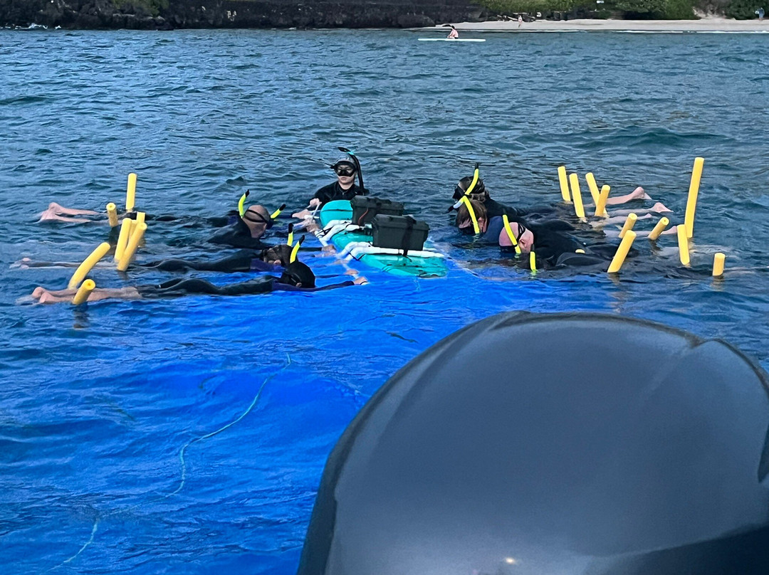 Liquid Hawaii-普阿克必去景点