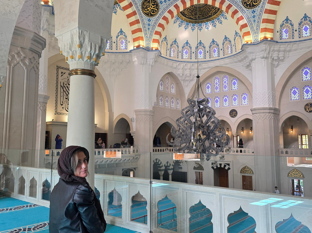 Great mosque of Tirana-地拉那必去景点