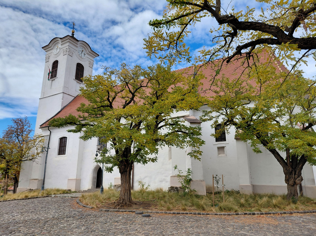 Old Town-圣安德烈必去景点