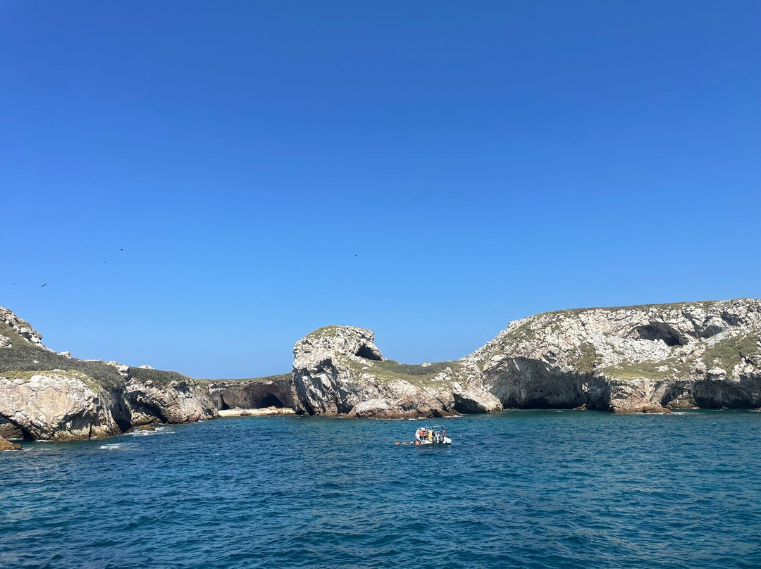 Ally Cat Sailing Adventures-利他必去景点