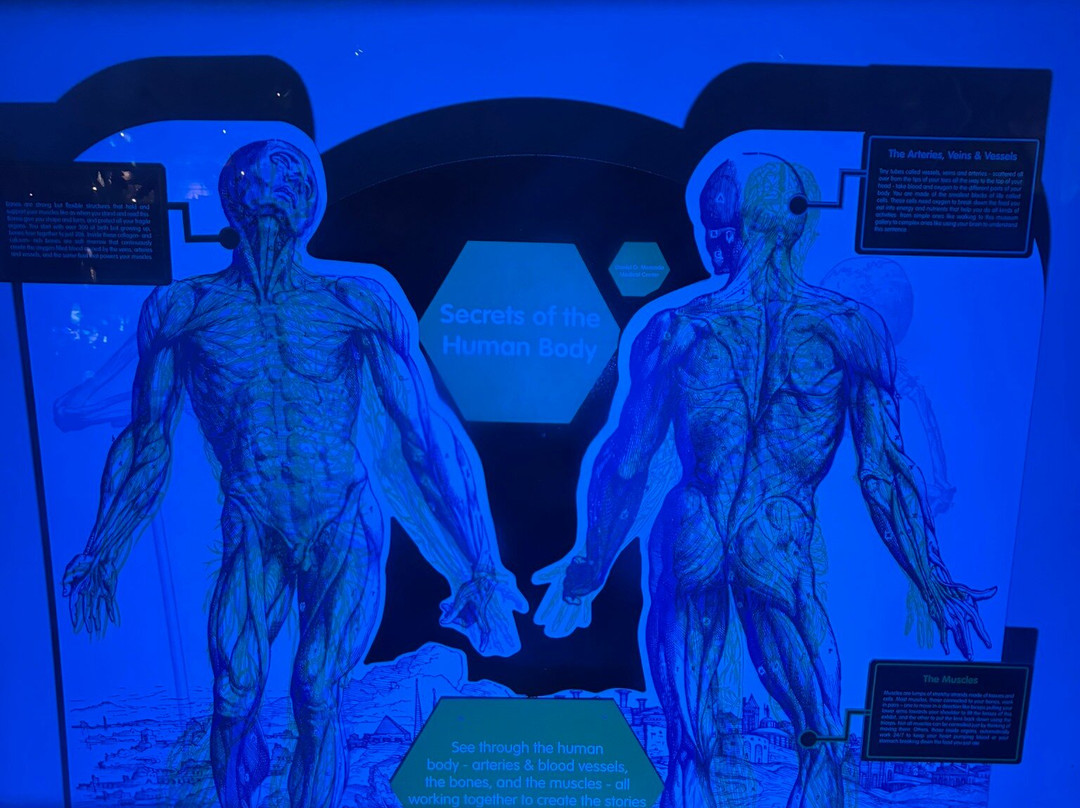 达义心灵博物馆-塔吉格必去景点