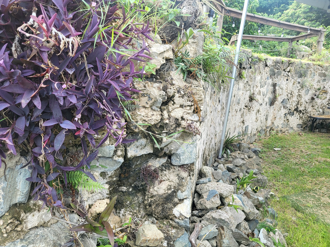 Estate Whim Museum-Frederiksted必去景点