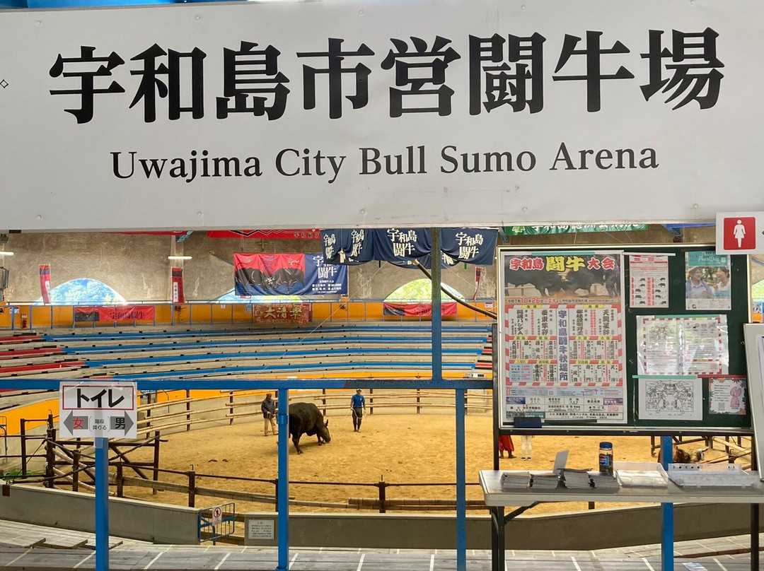 Uwajima City Bullfighting Arena-宇和岛市必去景点