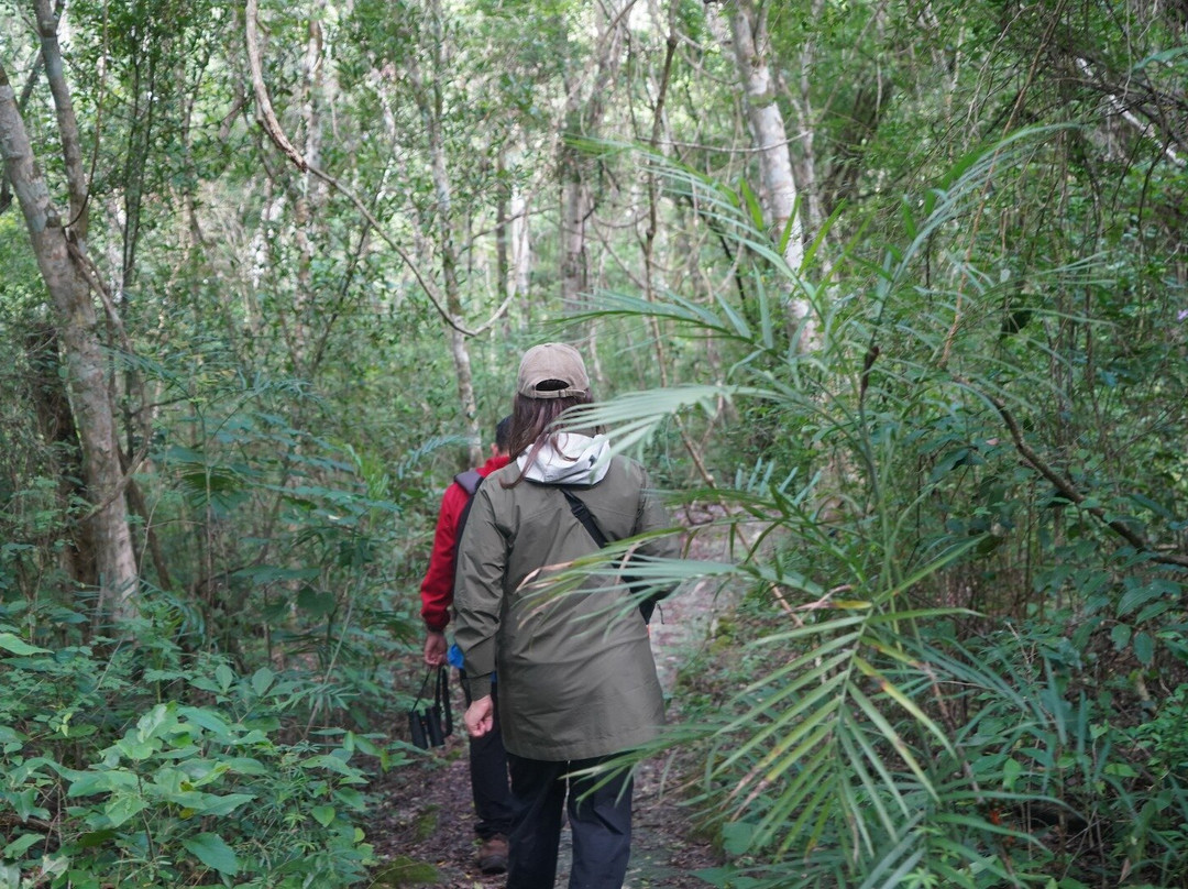 DANTA TOURS-Xpujil Town必去景点