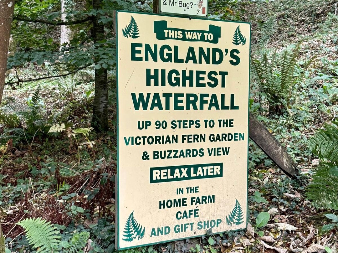 Canonteign Falls-Christow必去景点