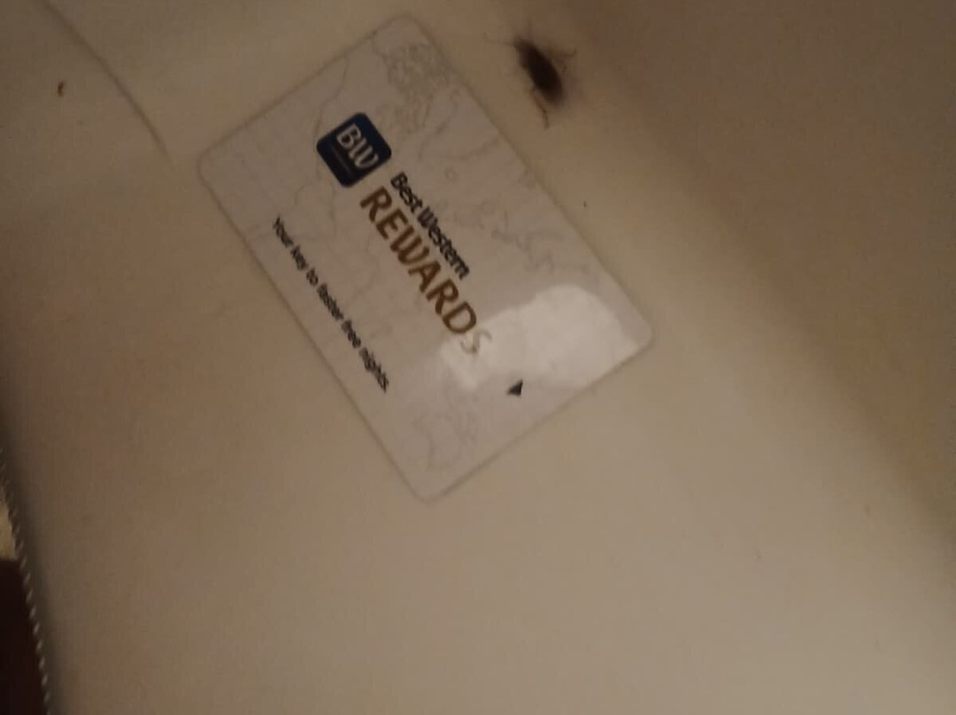 最佳西方皇后酒店主图