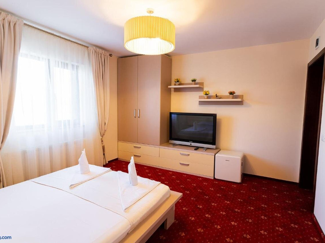 Pensiunea Oscar主图