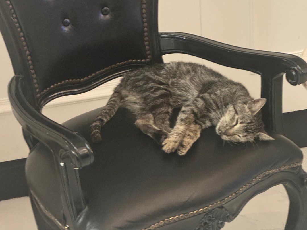 Sueno Golf Club-贝莱克必去景点