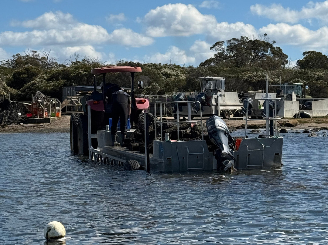 Oyster Bay Tours-科尔斯湾必去景点