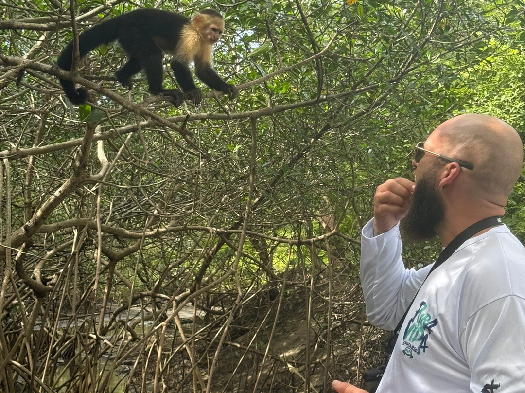 Tide Water Adventure-Playas del Coco必去景点