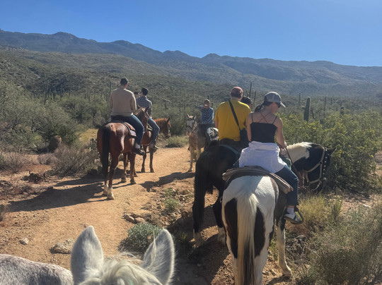 Rockin' Star Ranch-图森必去景点
