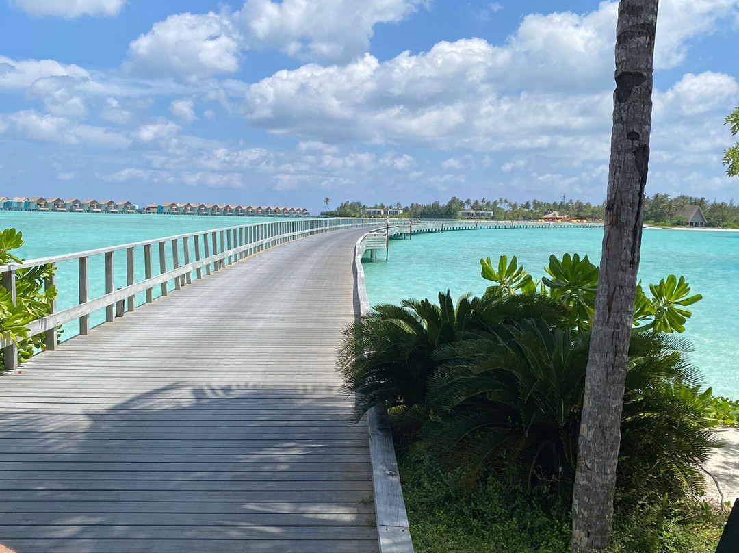 The Marina @ CROSSROADS Maldives-马累必去景点