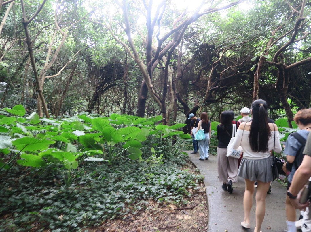 Gangala山谷-南城市必去景点