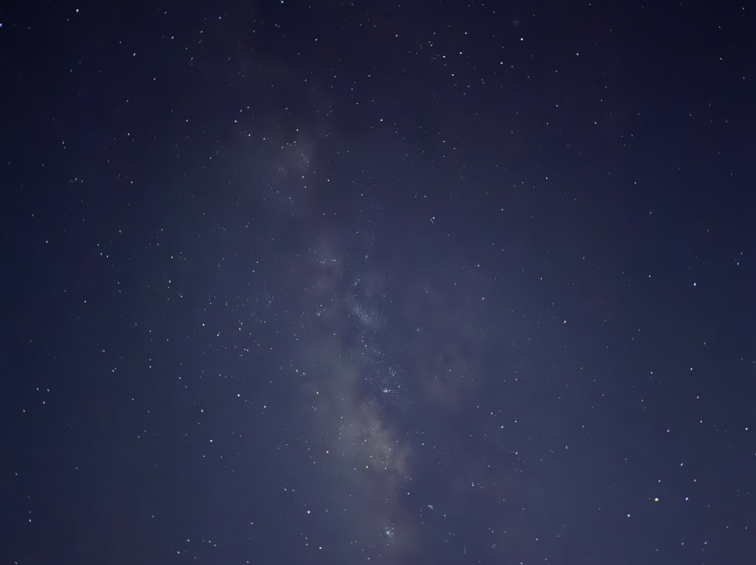 Bahariya Oasis Desert-Bahariya Oasis必去景点