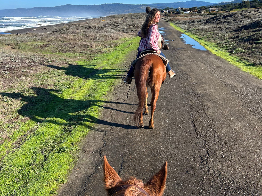 Ricochet Ridge Ranch-布拉格堡必去景点