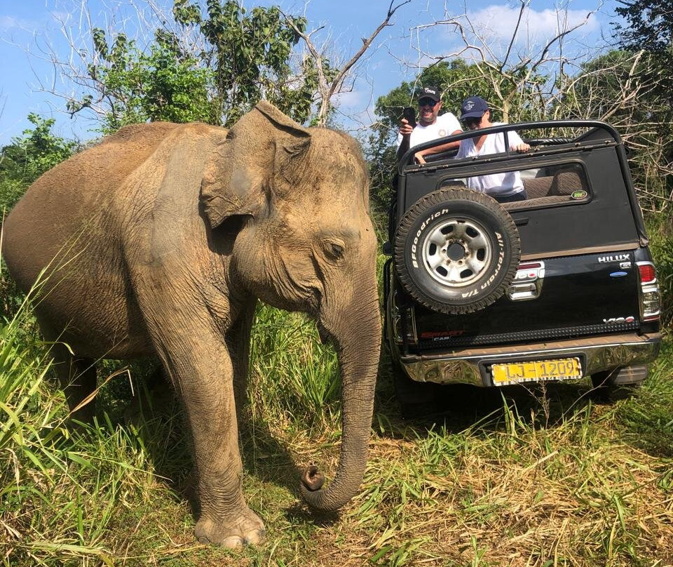 Meth Travels-Ja Ela必去景点