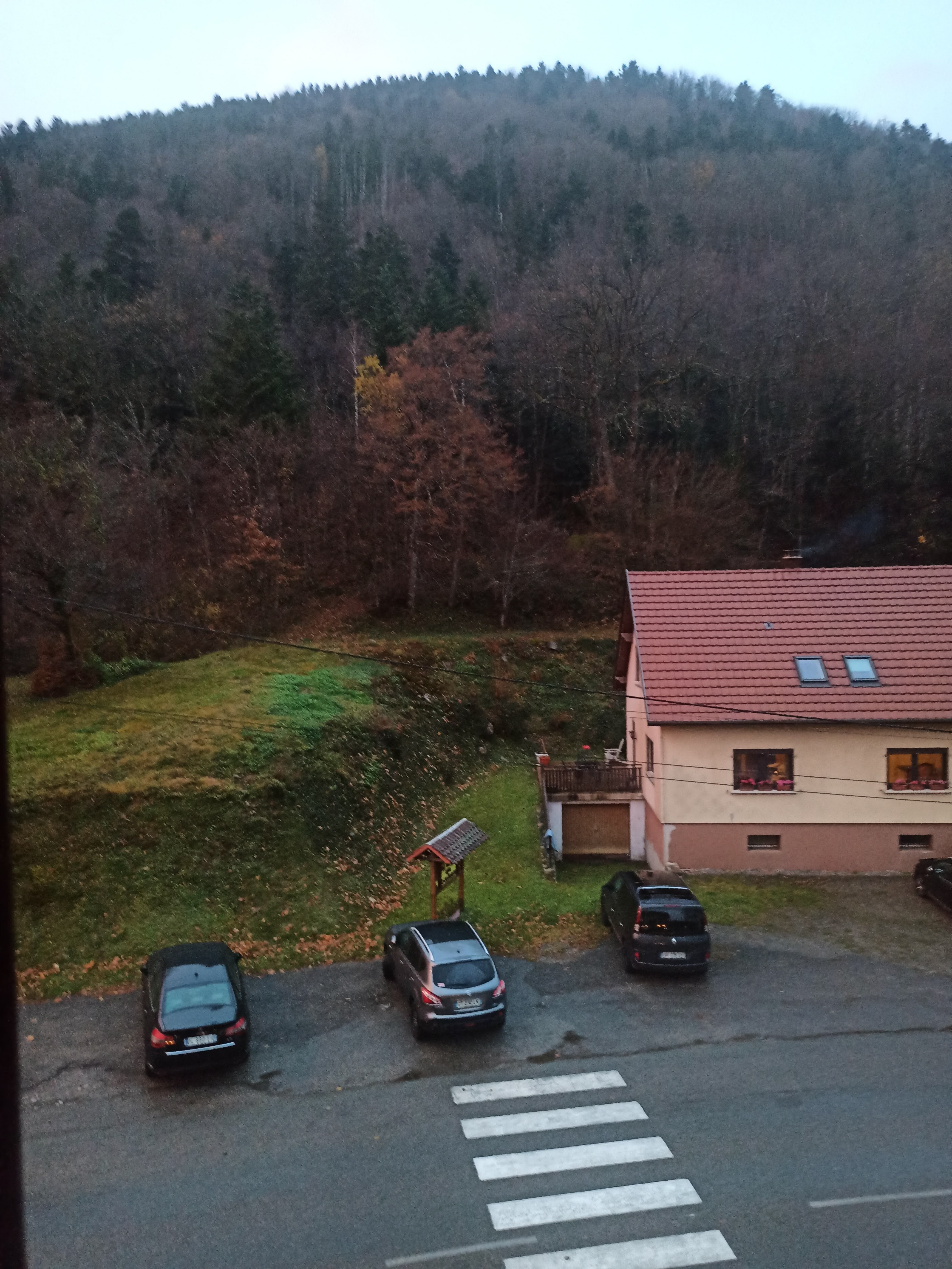 Hôtel Restaurant Des Vosges-官方