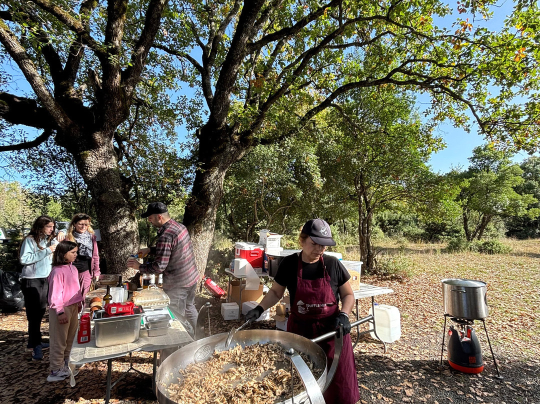 Truffle Hunting-卡兰巴卡必去景点