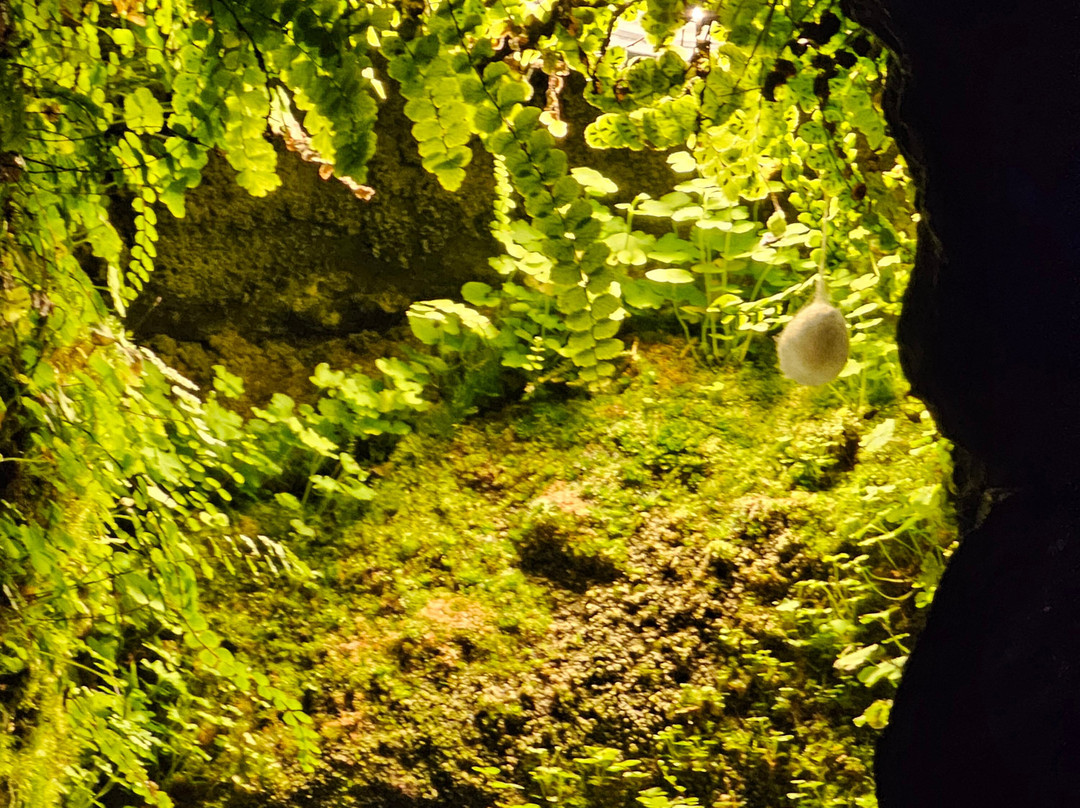 Petrusse Casemates-卢森堡城必去景点