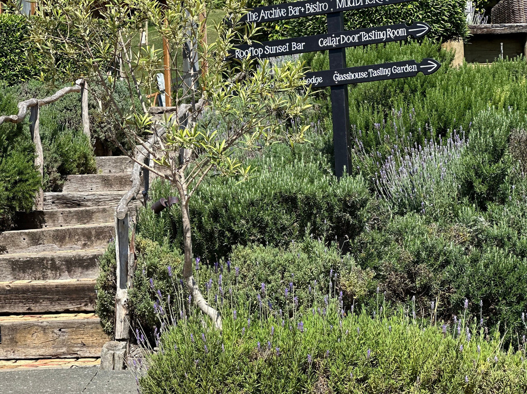 Heletranz Helicopters-奥克兰中心地区必去景点