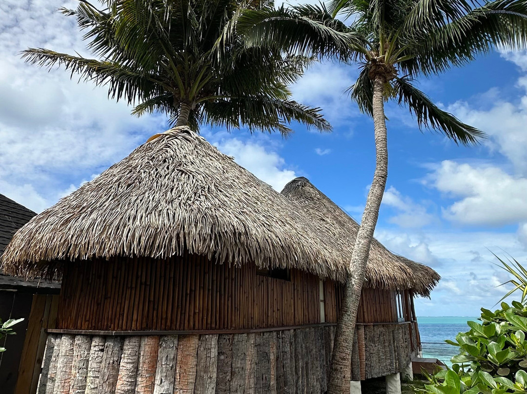 马哈纳酒店主图