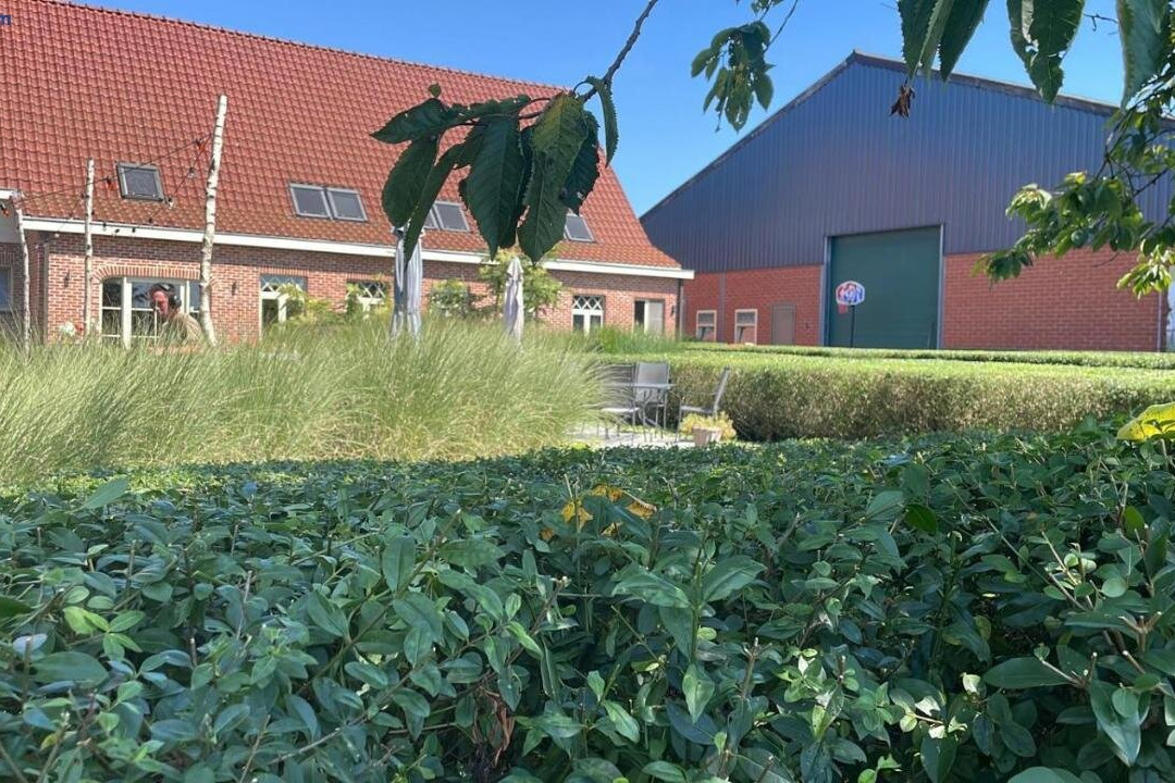 De Zandput