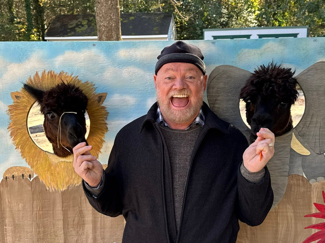 Jersey Shore Alpacas-开普梅必去景点