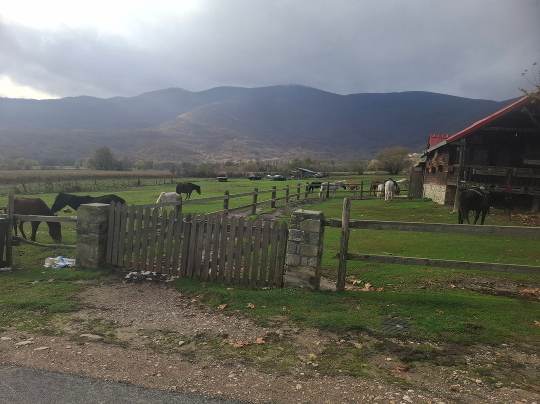 Artemis O.E.-Sklithro必去景点