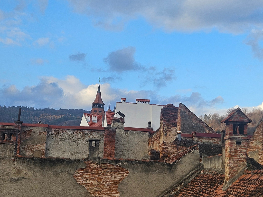 Casa Chitic - Str. Nicolae Balcescu 13主图