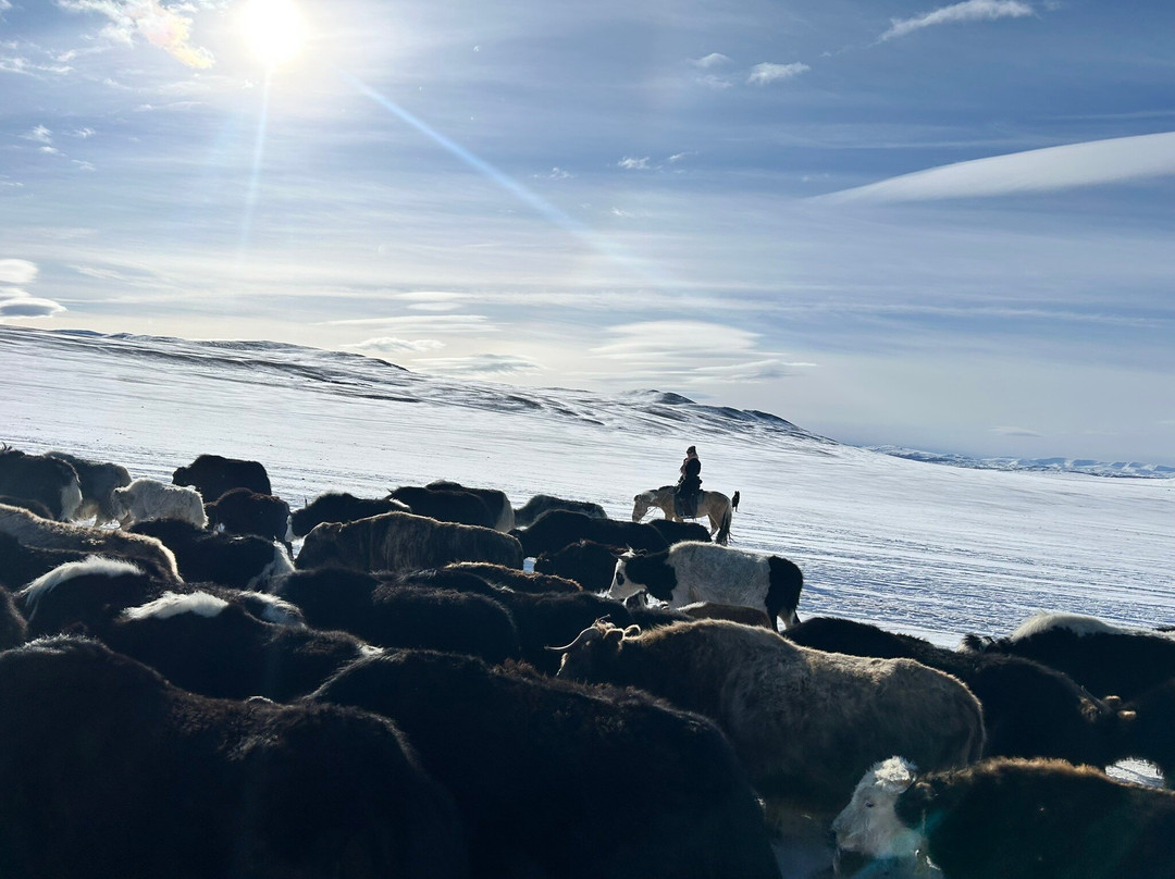 Sayat Travel-Olgiy必去景点