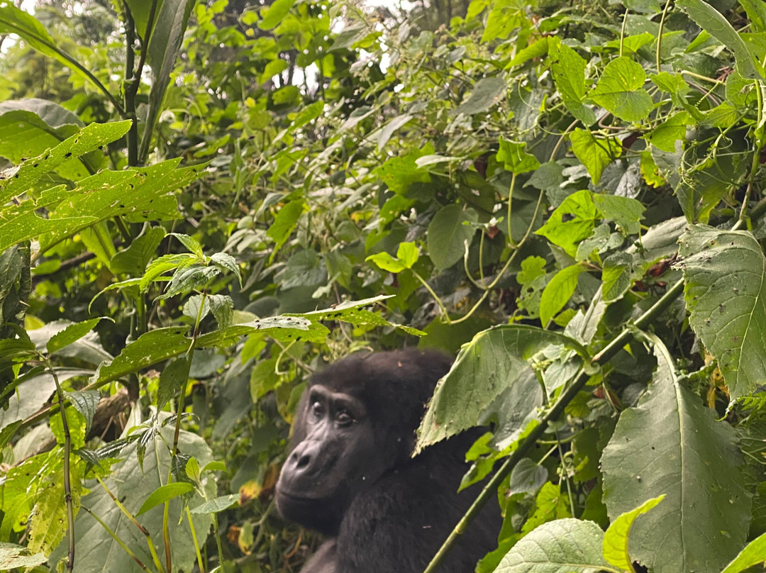 Katsam Adventures-吉佳利必去景点