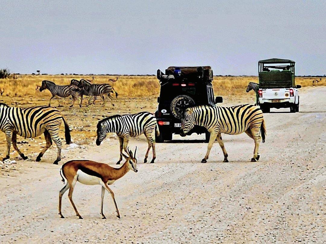 Etosha National Park-Okaukuejo必去景点