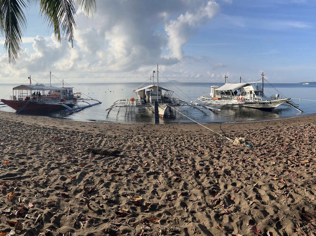 文图拉潜水中心-岛印必去景点
