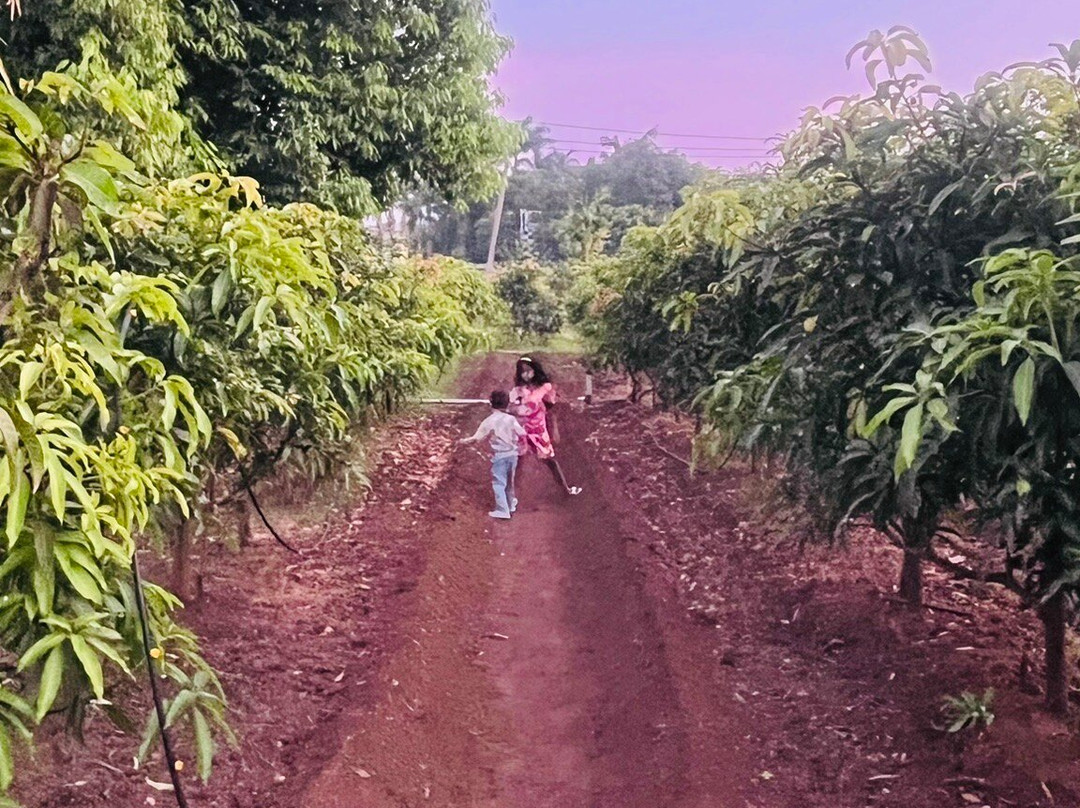 Hotel Anil Farmhouse主图